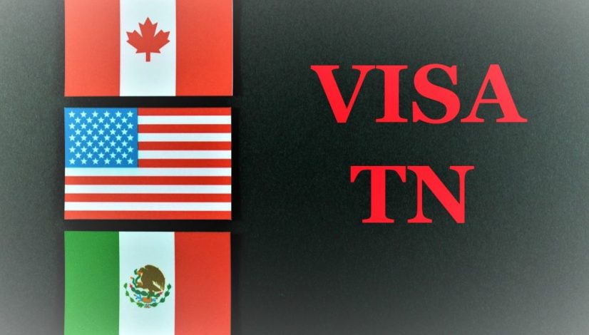Visa TN
