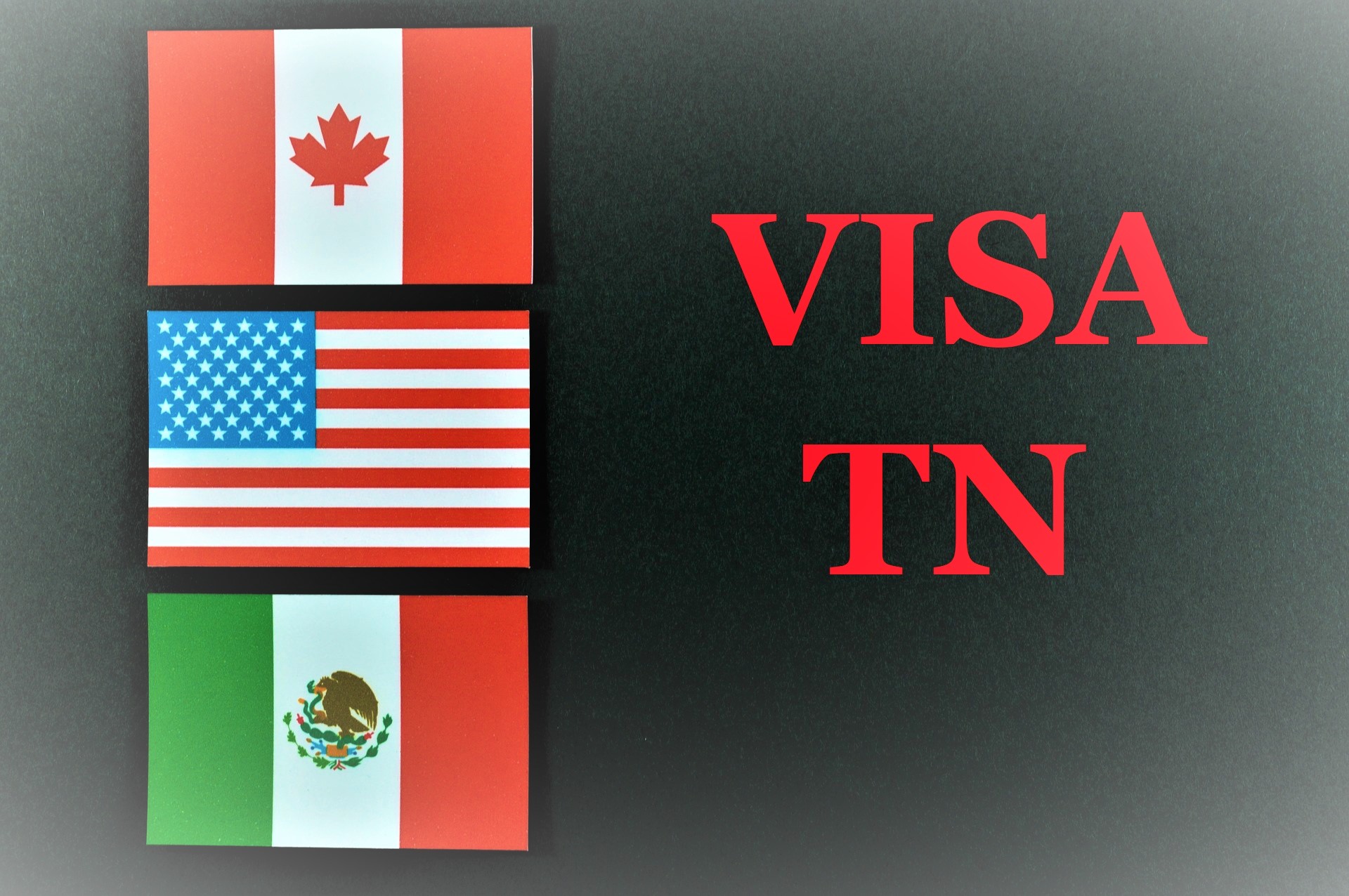 Visa TN